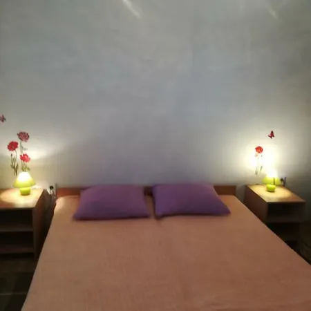 Apartment Zoky *